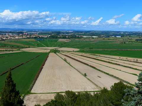 Étang de Montady, asséché depuis le Moyen Âge, vue depuis l’oppidum de l’Ensérune, Hérault