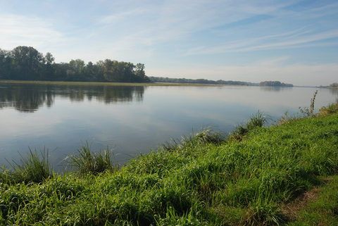 Bordure de la Loire