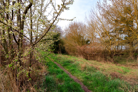 Sentier de randonnée dans la réserve naturelle nationale de Saint-Mesmin