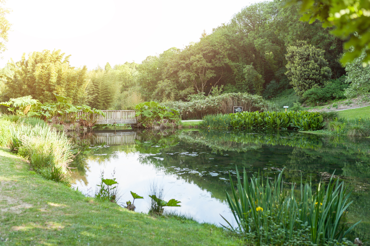 Visiter les jardins de Brest