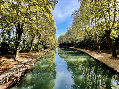 Canal du Midi et arbres