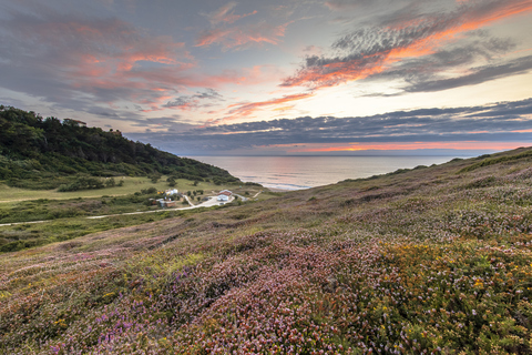 Plage de Bidart