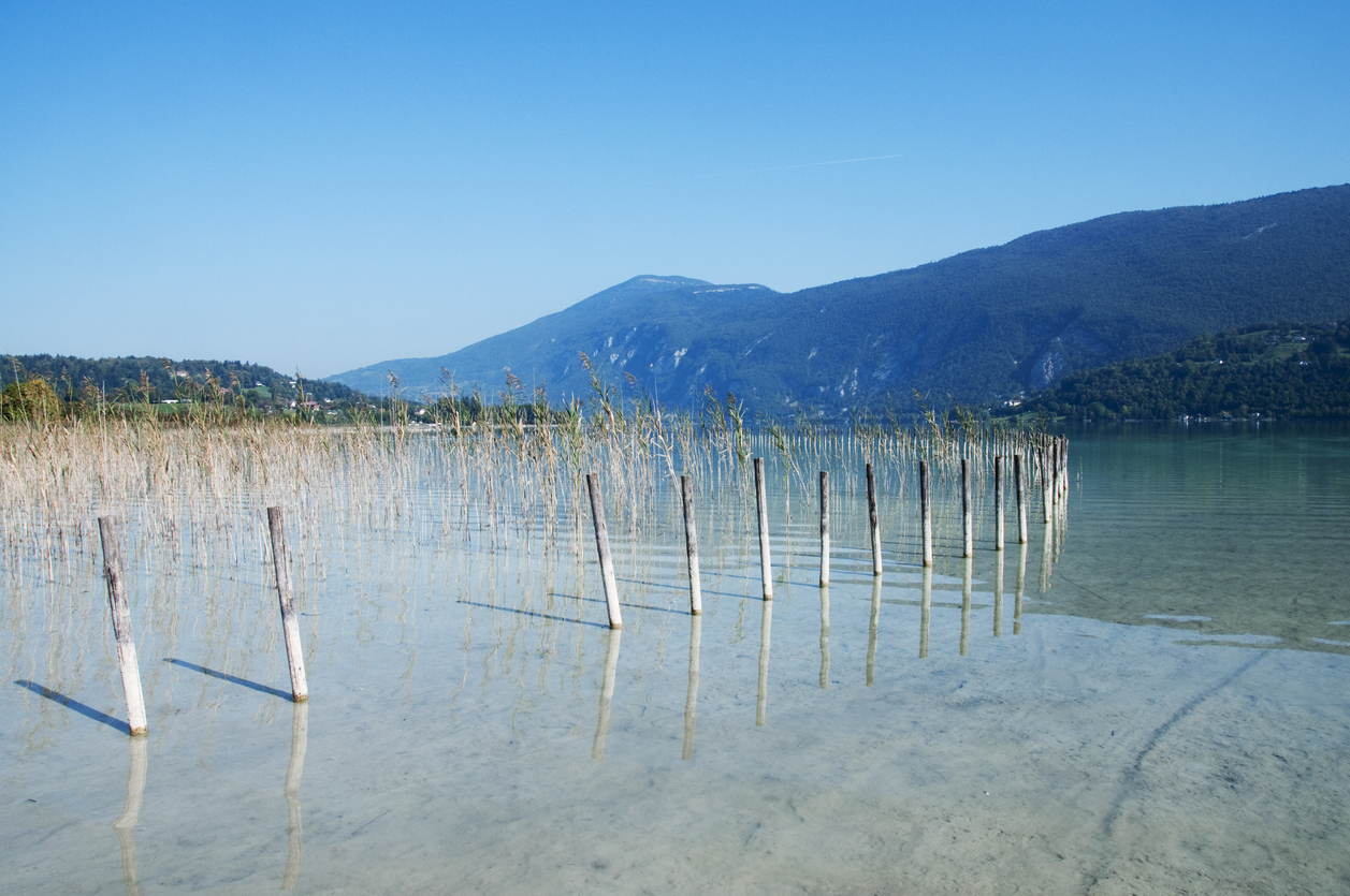 Se promener le long du lac d Aiguebelette