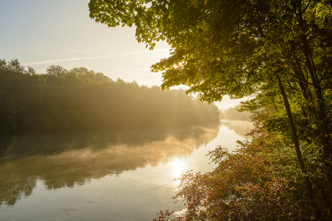 Bancs de brouillard flottant sur l’eau calme de la rivière Marne au lever du soleil