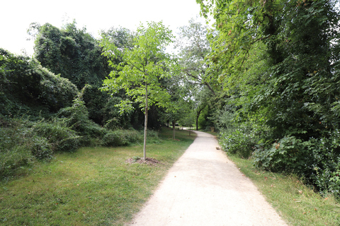 Chemin le long du Clain Poitiers