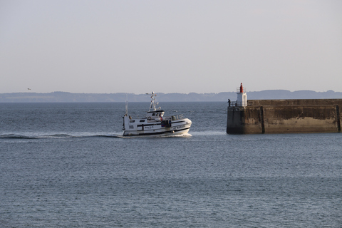 Port Maria à Quiberon