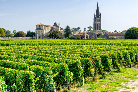 Vignobles bordelais accessibles en train