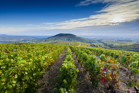 Vignobles Beaujolais en train