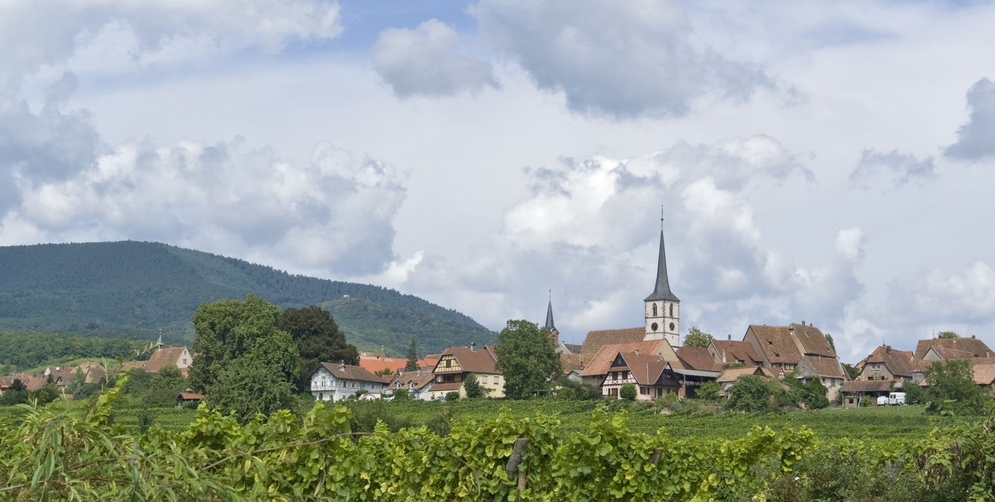 Idee balade a strasbourg : Village de Mittelbergheim