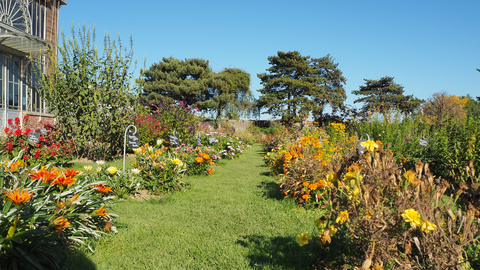 Jardin des Plantes de Nantes