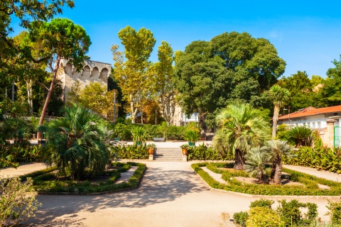 Jardin des Plantes  Montpellier Tourisme