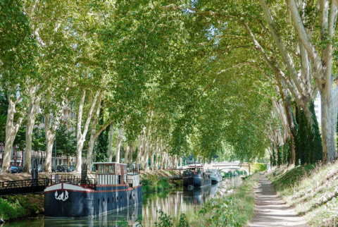 canal du midi à Toulouse