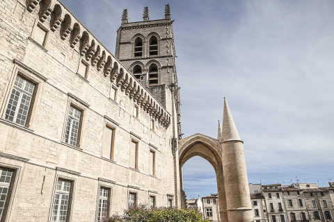 A Gressin Cathédrale de Montpellier 2