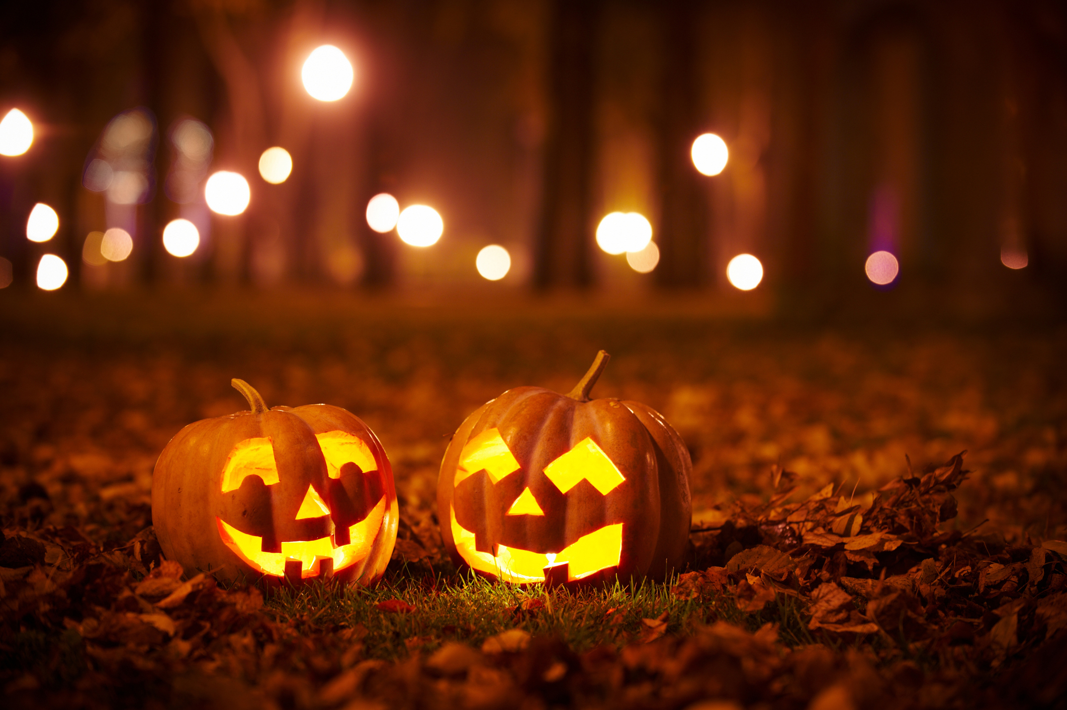 
<span>Où fêter Halloween en France ? Toutes nos idées !</span>
