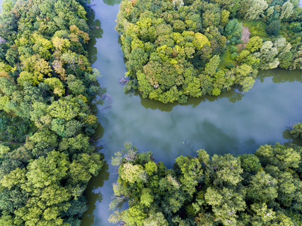 Les plus belles balades le long de la Seine à Juvisy