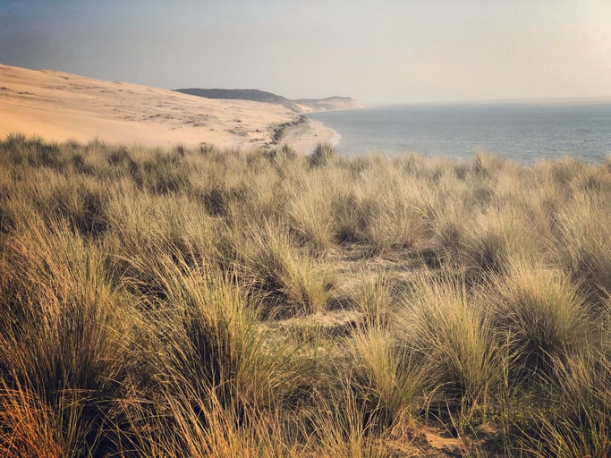 
<span>5 Plages pour se baigner autour de Bordeaux</span>
