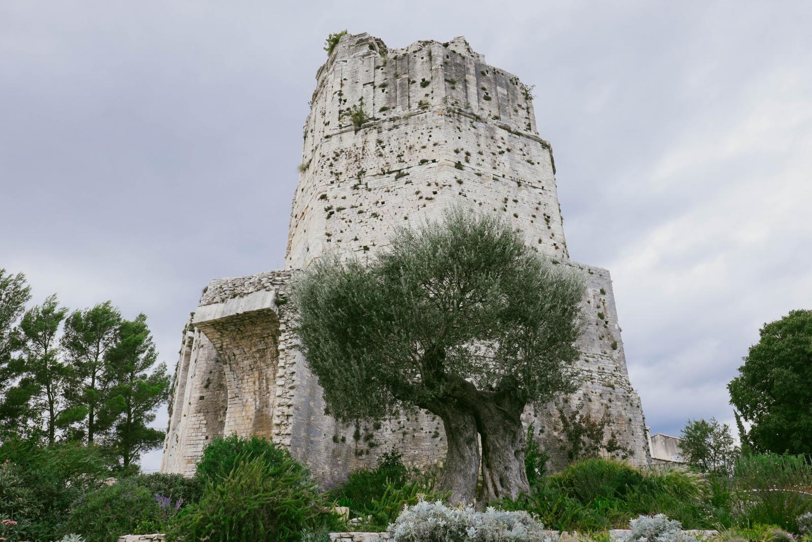 La tour Magne a Nimes
