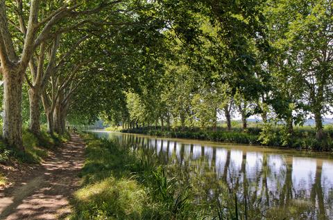 Cycliste sur le Canal du Midi en France 