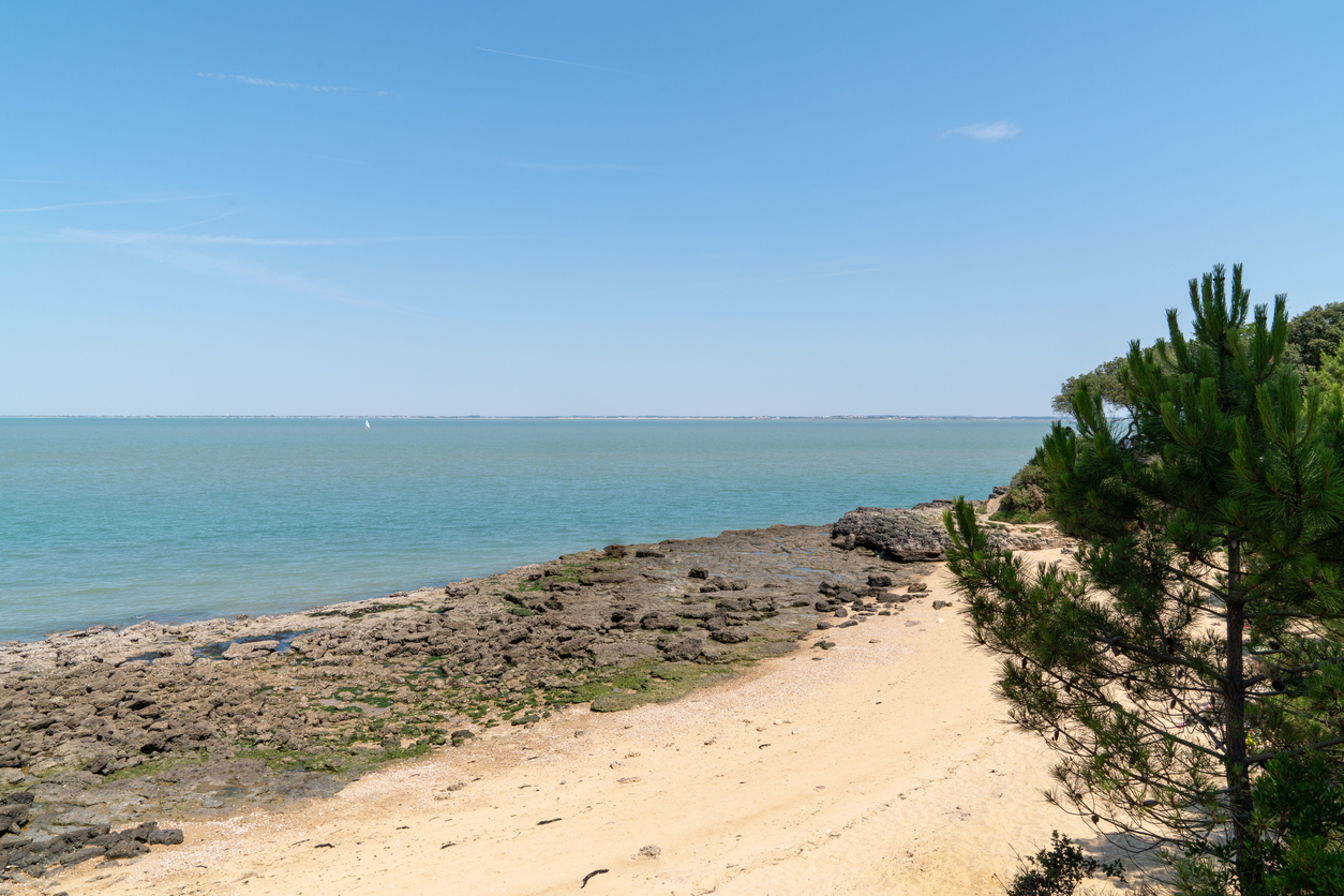 Plage