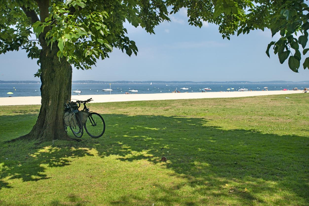 Au printemps, direction Arcachon à vélo !