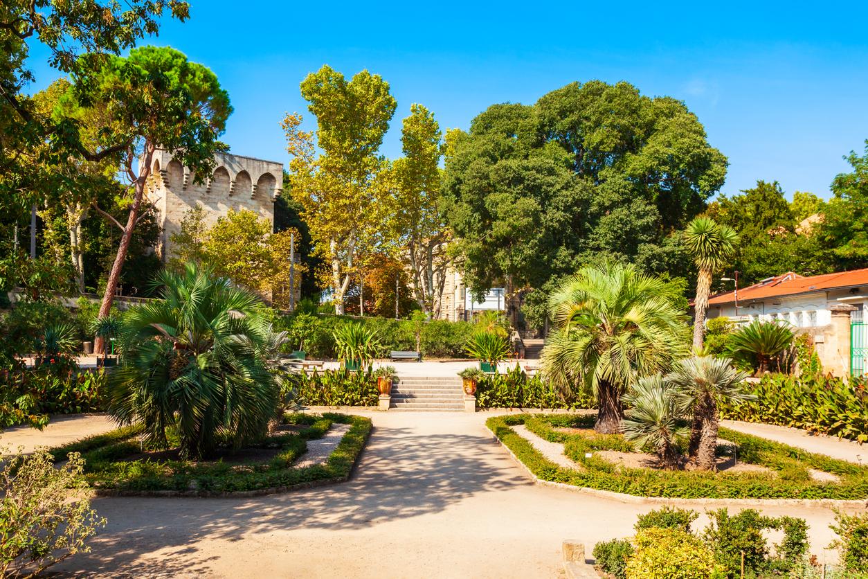 Montpellier : top 10 des activités à faire en famille