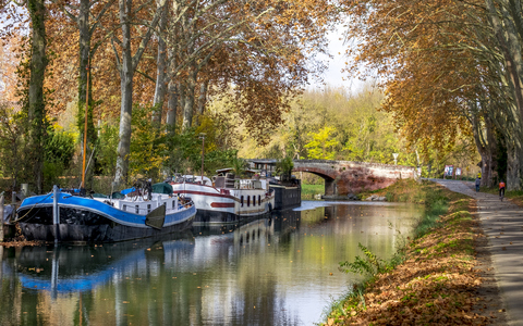 Le Canal du Midi à vélo : 240 km de piste cyclable pour tous !